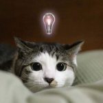 あなたの知っているまったく役立たない雑学『日本人のまつげの長さ平均6.8ｍｍ』