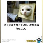 お前らが笑った画像を貼れ in 車板『献血キャンペーングッズみたいｗｗ』