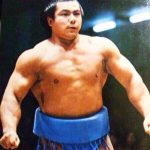 大相撲力士って体重メッチャあるから他のボクシングや格闘技やっても強いんじゃねえの？