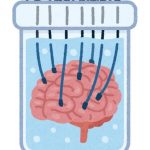 【朗報】感情を情報コード化し、強制的に与えることにマウス実験で成功