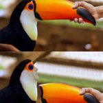 画像でフフッてなったら寝ろｗｗｗｗｗ