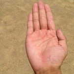 「公園に人の右手が落ちている」