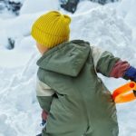 雪国「「「雪かき楽しいね！！」」 ← 正直羨ましい