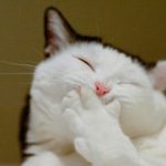 人のことイジって笑いとる奴って1対1で話してみると絶望的につまらない件ｗｗｗｗｗ
