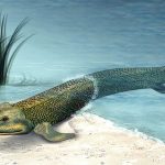 【全板集合】2chにある無駄な知識を集めるスレ『世界の魅惑的なエレベーター10』